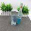 hot selling 2016 Whisky Wedge with Mould