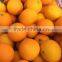 fresh sweet naval orange