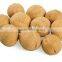 cheap and shelled black walnuts for sale