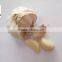 Certificated HACCP HALAL exported fresh garlic white garlic