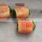 Automatic Pawpaw Pumpkin Taro and Honey Dew Melon Pineapple Peeler Peeling Skin Removing Machine