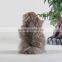 Promotional Item Plush Animal Toy Beaver Product