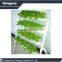 Agricultural soilless vertical vegetables seedling planting sponge
