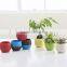 Round Plastic Plant Flower Pot Home Office Decor Planter-Medium Size