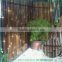 Garden decorative Bamboo Screen