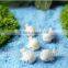 CY310 micro DIY home decor dolphin decoration