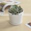 Indoor mini ceramic decor white plant pot