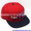 Gold supplier Custom Logo Snapback Hats Wholesale