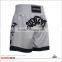 China Factory Cheap Price Vale Tudo Fight Shorts Jogging