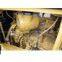 Used Bulldozer [Caterpillar D7R]