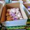 New Crop 4.5cm Normal White Fresh Garlic In 10 kg Box packing