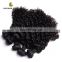 wholesale tope grade brazilian hair afro kinky bulk human hair kinky curly hair