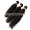 2017 hot sale kinky hair extensions malaysian virgin hair 100 human hair extensions