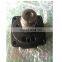 High Quality VE pump  Head Rotor 096400 1500