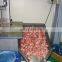204 hot sale stainless steel bone saw cutting machine