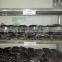 hot sale top quality madagascar sambava vanilla beans