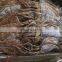 dried seafood whole squid