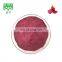 Super Food Red Pitaya Dragon fruit Extract Powder