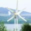 Factory Price Low Noise Smart 600W Wind Turbine On Roof