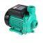 PLX 220v Household Hot Water Pump