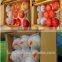 Factory Direct Hottest Selling EPE Colorful Fruit Foam Packing Net/Lazihouzhentao