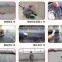 Color steel roof waterproofing coating and pond waterproofing coating