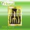 women garden tool set