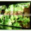 China Full Color Slim Rental LED Screen/Indoor/Outdoor HD Video LED Display
