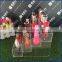 acrylic cosmetic/lipstic/nail polish display rack