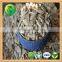Sun flower Seed Kernels Market Peice