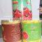 Hot Sell and High Concetrated Canned Tomato Paste to Africa,Middle East