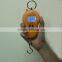 Good Quality Digital Hanging Weighing Scale