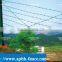 Well Sales!! Barbed Iron Wire with Competitive Price per roll                        
                                                Quality Choice