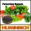 FAQ 33--Huminrich Potassium Humate Fertilizer Application On Plants
