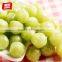 Yake 100g hard candy with fruit and mint flavor