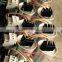 Intelligent power capacitor