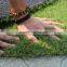 Chinese Cheap Football Artificial Grass Carpet For Football Pitch/Stadium