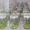 Recycled Used 350ml Size Factory Supplier High Quality Glass Bacteria Bottle With Plastic Lid