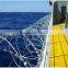 ISO9001 Silver elec-galvanized barbed wire fence for Private Area