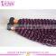 6A 7A 8A Cheap Wholesale Bohemian Purple Peruvian Virgin Kinky Curly Hair