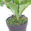 hot sale artificial decorative plastic birdsnest fern plant bonsai