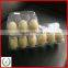 Plastic Custom-made Hot Sale Disposable Clear Blister Egg Tray