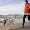 Hands Free Dog Leash for Running, Walking, Hiking, Durable Dual-Handle Bungee Leash, Reflective Stitching, 4-Foot Long