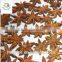 2015 New in Market Dahong Star Aniseeds