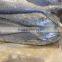 Frozen Mahi Mahi Whole Round