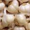 price special garlic ...best quality garlic...red white garlic