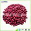 best quality red kidney beans for hot sale