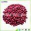 high quality heanlthy Red speckled kidney beans with EU standard