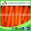 New crop frozen vegetables fresh carrot