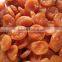 AD process apricot supplier